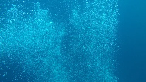 Air bubbles underwater 스톡 동영상 101587338