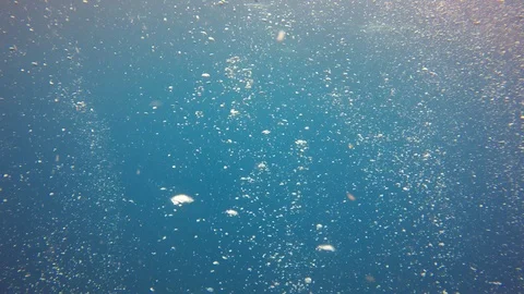 Air bubbles underwater 스톡 동영상 106660698