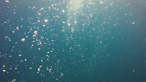 Air bubbles underwater Vidéo 106743424