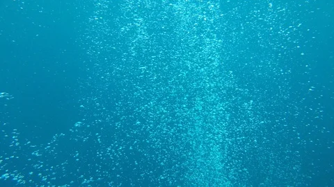 Air bubbles underwater Stockbeeldmateriaal 120820875