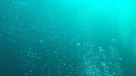 Air bubbles underwater Stock Footage 121064625