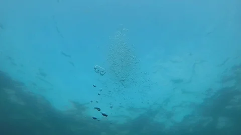 Air bubbles underwater Stock Footage 125019119