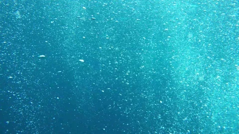 Air bubbles underwater Video stock 126688793