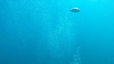 Air bubbles underwater Stock Footage 128558366