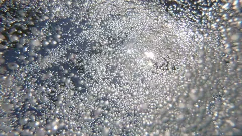 Air bubbles underwater in slow motion 250fps Vidéo 133269652
