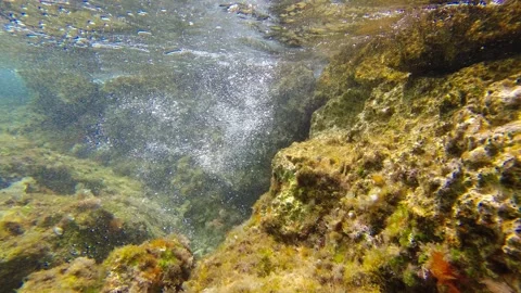 Air bubbles in the water appear because of the surf of the rocky coast. Und.. Stock Footage 272973103