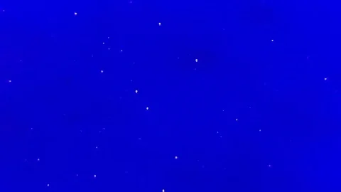 Air bubbles in the water. Close-up slow-motion video. Video stock 104260367