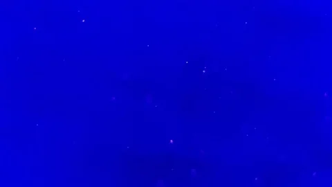 Air bubbles in the water. Close-up slow-motion video. Video stock 104260381