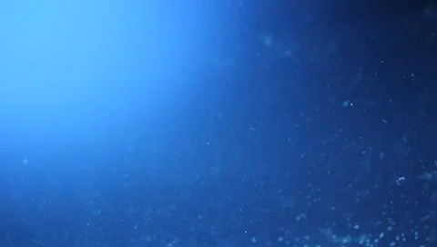 The air bubbles in the water. Stock Footage 10726088