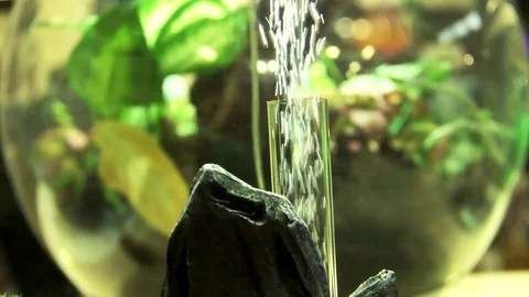Air bubbles in water Stock Footage 77863152