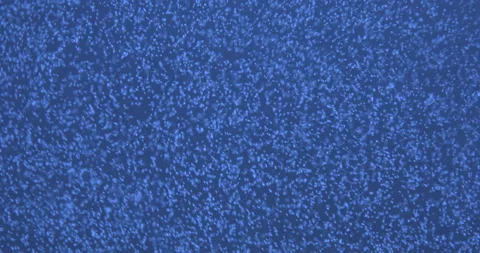 Air bubbles in water on gray background Stock-Footage 114411239