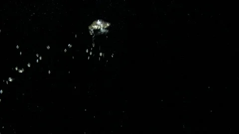 Air bubbles in water rising up to the surface on isolated black background Stock Footage 156370582