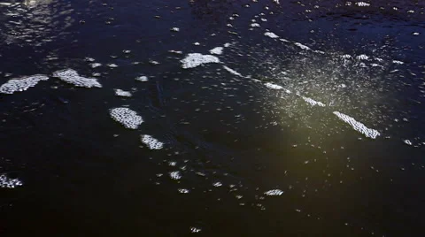 Air bubbles in the water seethe Stock Footage 49929219