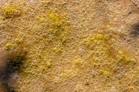 Air bubbles in water - texture 库存照片