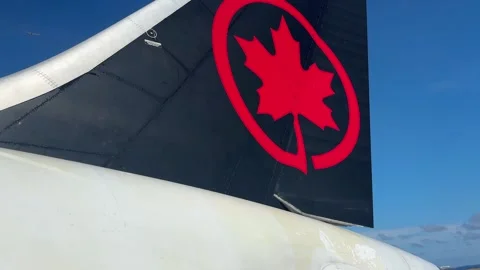Air Canada Boeing 787-8 Dreamliner plane tail 스톡 동영상 333645718