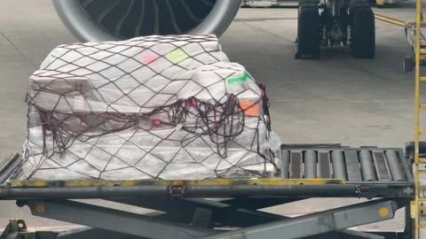 Air Cargo Loaded Beneath Passenger Jet   Stock Footage 336816520