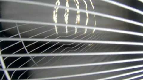 Air cooling fan Stock Footage 169403039