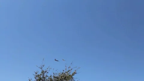 Air Display Formation Fly By Stock Footage 83402384
