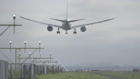 Air Europa Boeing 787-9 Passenger Airplane Morning Landing, Rear View, Amsterdam Stock Footage 185635346