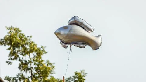 Air fish Stock Photos