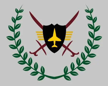 Air force eagle team vector art Illustrazione stock
