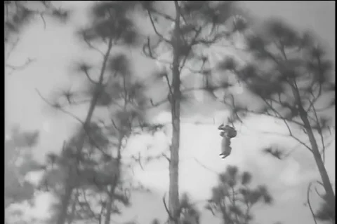 Air force team lands in dense forests during paramedics competition - 1956 Video stock 99092338