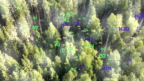 Air in forest concept. Oxygen fresh air from green forest aerial top view. Stock Footage 304286057