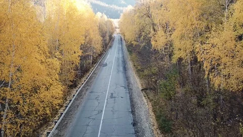 Air in  forest Stock Footage 127684051