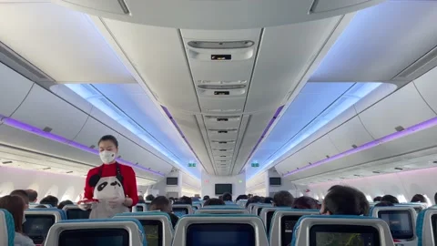 The air hostess is getting the plane ready for take-off Stock Footage 170938432