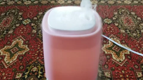 Air humidifier Stock Footage 311315592