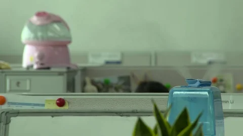 Air humidifier in office with workers Stock Footage 77335432