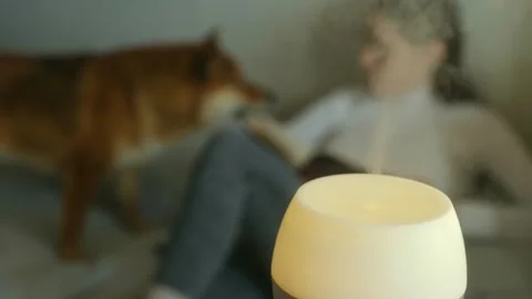 Air humidifier purifying and diffusing essential oil mist Stock Footage 322166078