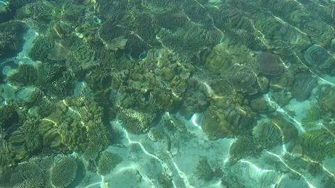 Air laut Stock Footage 205586248