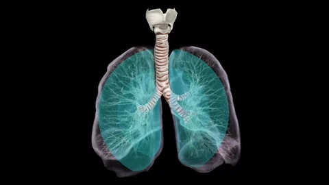 Air Leaving Lungs Stock-Footage 90866264