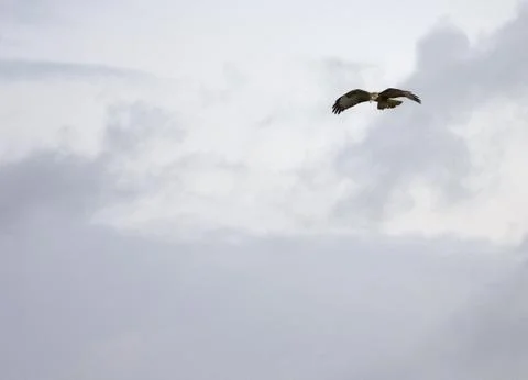 In the air Stock Photos