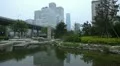 Air Pollution in Beijing CBD, China Dust Storm, Reflection, Yintai Center HD Footage