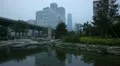 Air Pollution in Beijing CBD, China Dust Storm, Reflection, Yintai Center HD Footage