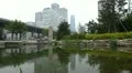Air Pollution in Beijing CBD, China Dust Storm, Yintai Center, time lapse HD Footage
