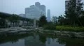 Air Pollution in Beijing CBD, China Dust Storm, Reflection, Yintai Center HD Footage