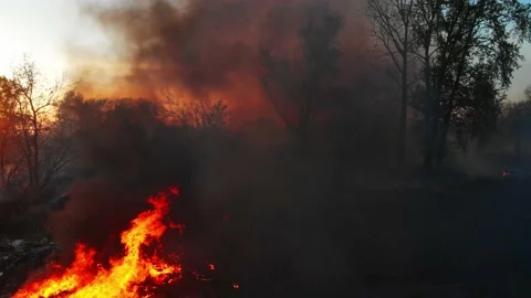 Air pollution caused by fire on dump site. Clouds of smoke above the waste land Vidéo 152290219