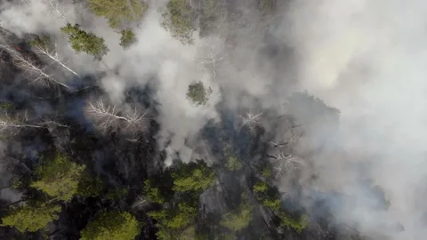 Air pollution caused by wildfires, clouds of smoke above the burning field Video stock 130510210