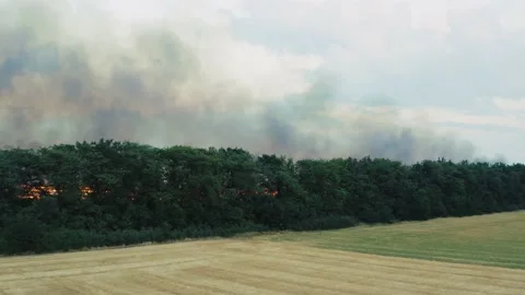 Air pollution concept, fire burn grass in field agriculture in countryside Stock-Footage 144246589