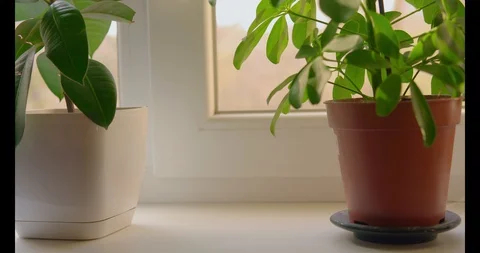 Air pollution detector pm 2.5 window hazard level Stock Footage 128675529