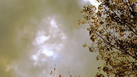 Air Pollution from industry. Toxic clouds Vídeo Stock 125131864