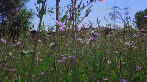 Air pollution problem Stock Footage 112019903