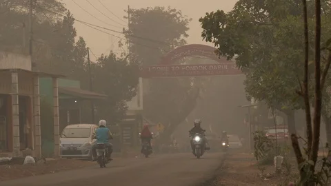 Air pollution on the road caused by forest fire near boarding school Stock Footage 121889580