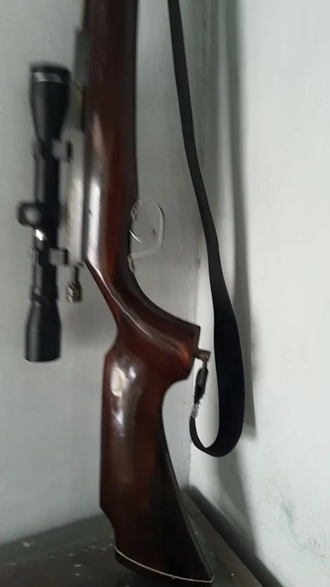 Air Rifle Stock Footage 267721050