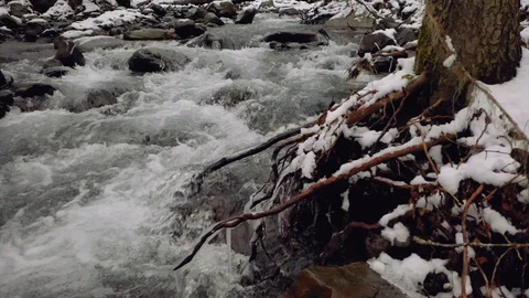 Air slow movement from the tree root towards the violent mountain river Stock Footage 128326229