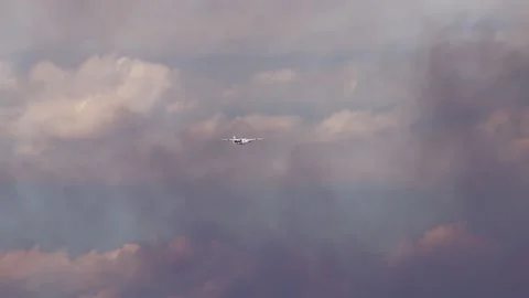 Air Support Fire Plane for Loyalton Fire 3 Stock Footage 137564225