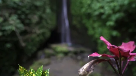 Air Terjun Leke Leke waterfall located in Ubud at Bali Stock Footage 126004739